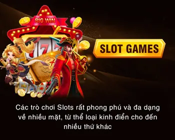 Các loại hình đối tác đa dạng của 09vip link mới